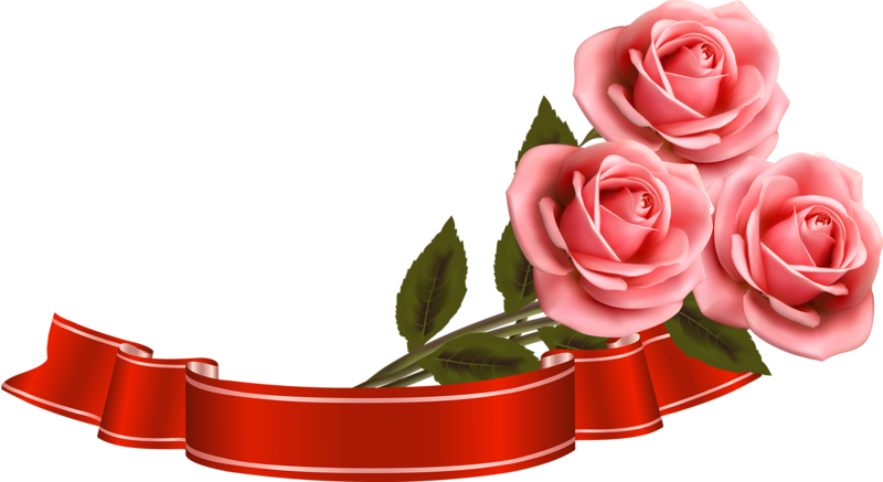 Красивые пожелания на прозрачном фоне