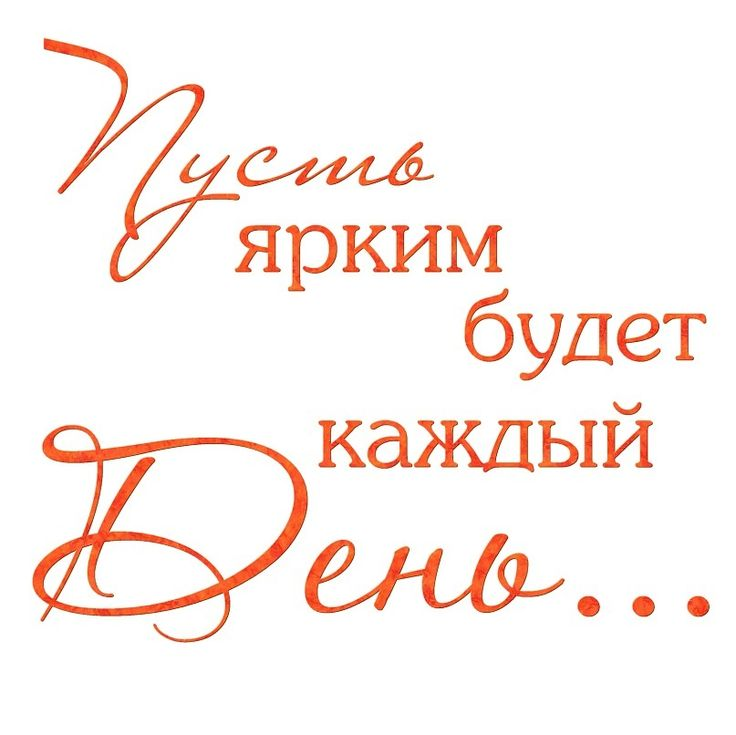 Фразы поздравления