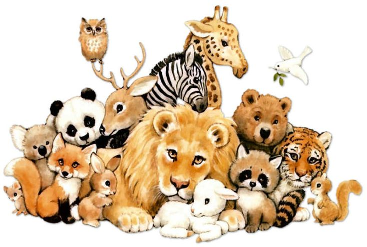 Множество животных