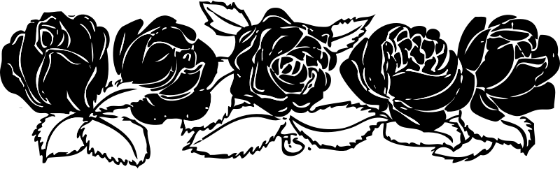 Цветы чёрно белые