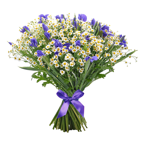 Букет полевых цветов на прозрачном фоне