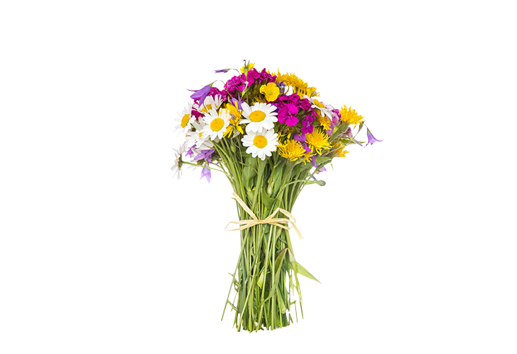 Букет на прозрачном фоне