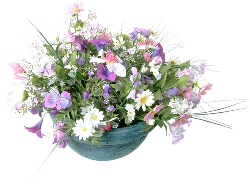 Цветочная композиция на белом фоне