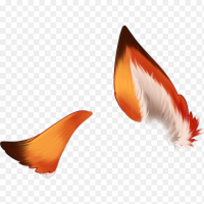 Лисичьи ушки