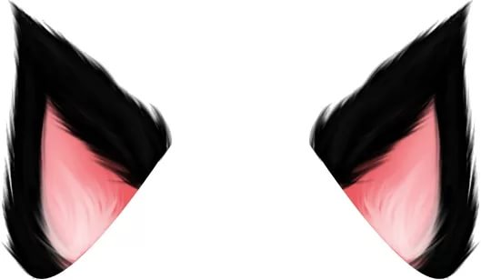 Ушки котика