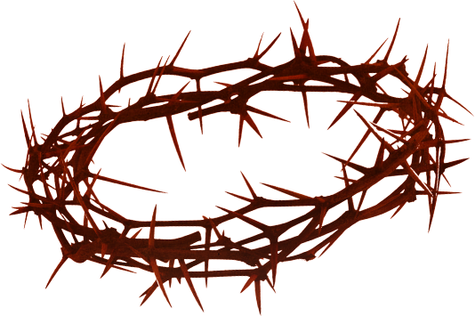 Терновый венок Иисуса Христа