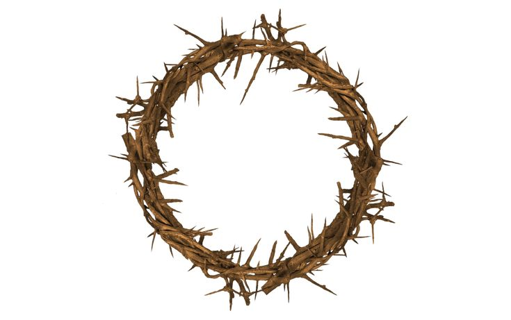 Терновый венец Иисуса