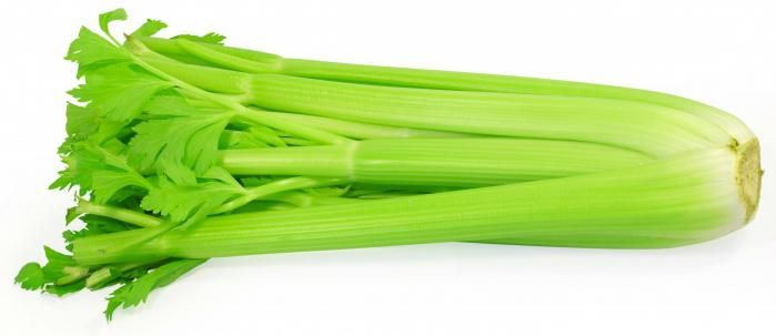 Лук латук