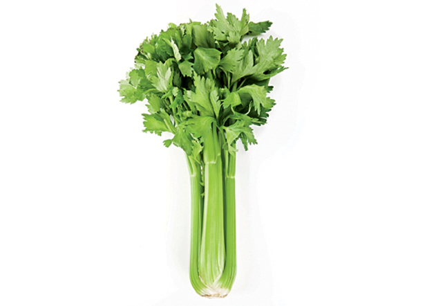 Сельдерей Apium graveolens