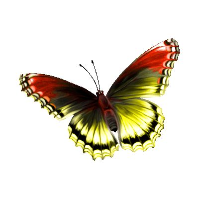 Анимашки бабочки на прозрачном фоне