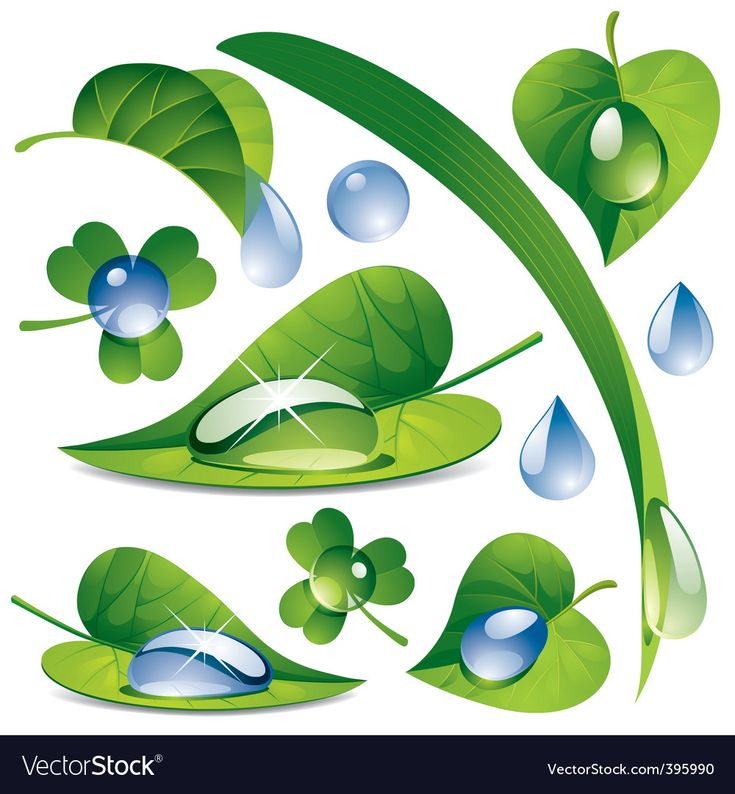 Листик с росинкой