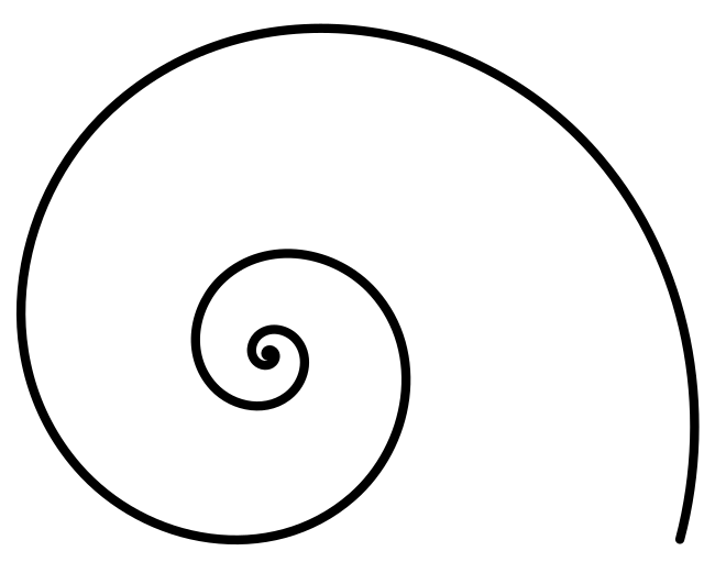 Спираль контур