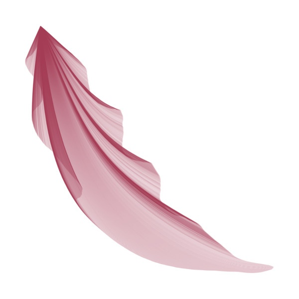 Прозрачная летящая ткань