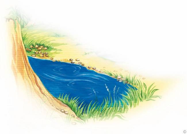 Речка на белом фоне