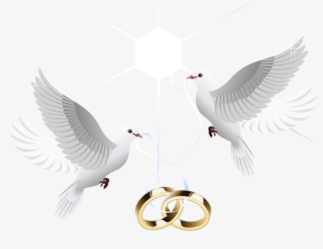 Свадебные клипарты на прозрачном фоне