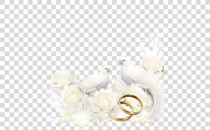 Свадебные голуби с кольцами