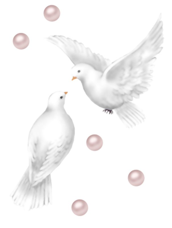 Свадебные голуби