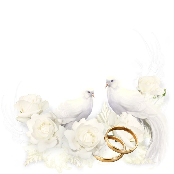 Свадебные голуби