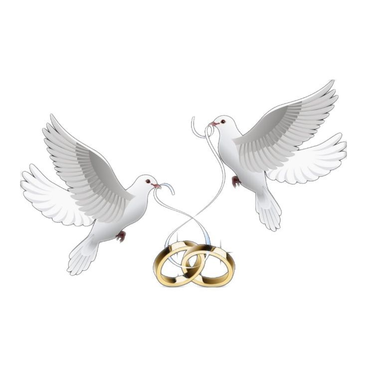 Клипарт свадьба на прозрачном фоне