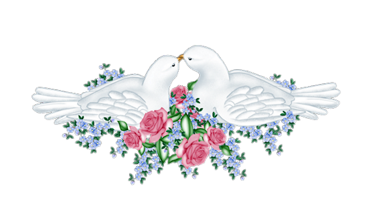 Свадебные голуби