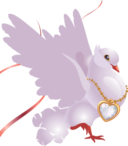 Свадебные голуби на прозрачном фоне