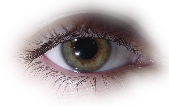 Глаза без фона