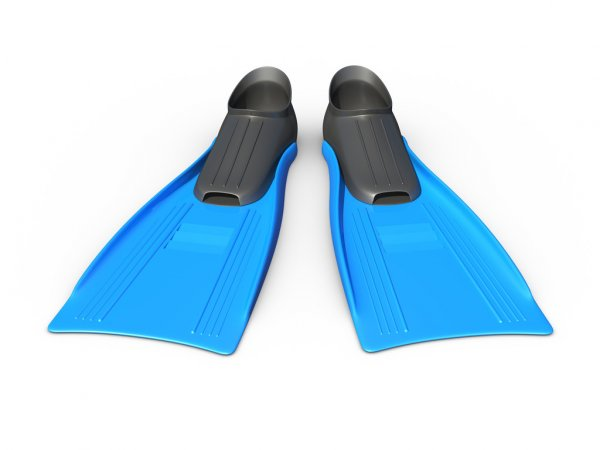 Прозрачные ласты