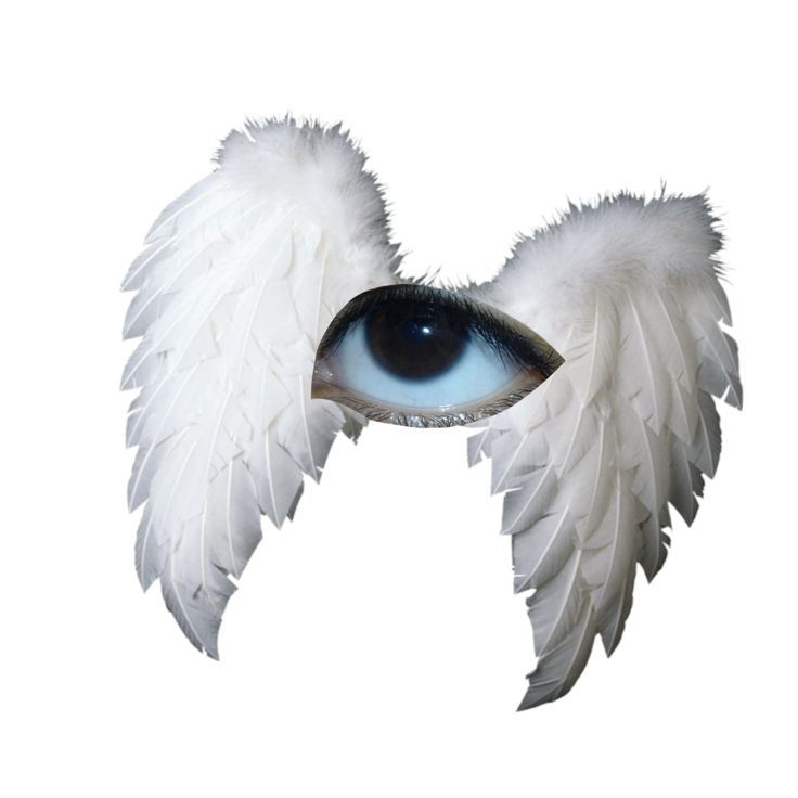 Глаз с крылышками