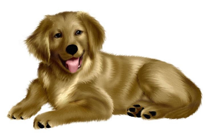 Изображение собаки для детей