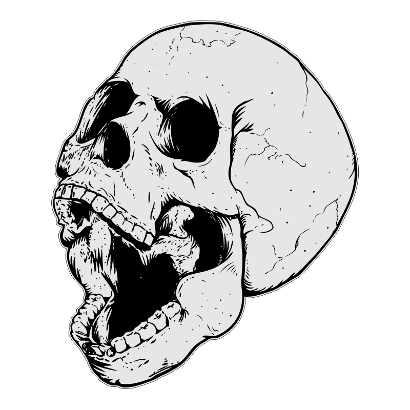 Череп сбоку эскиз тату