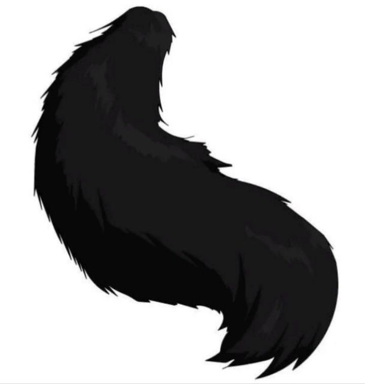 Кошачий хвост аниме