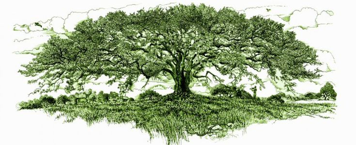 Ветвистое дерево