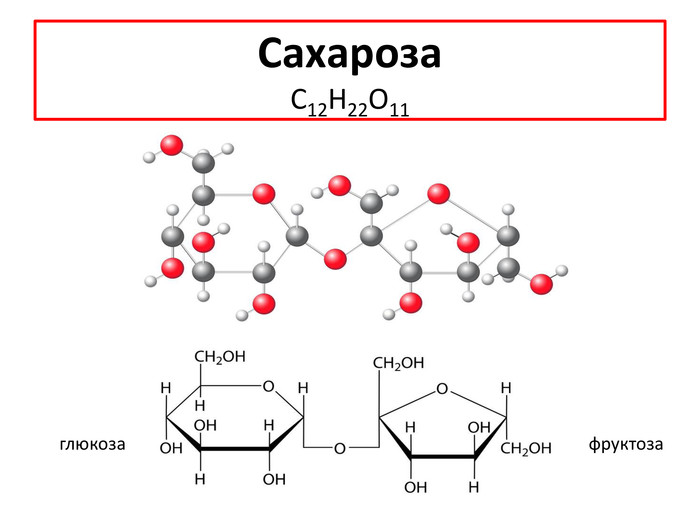 Сахароза Genshin Impact