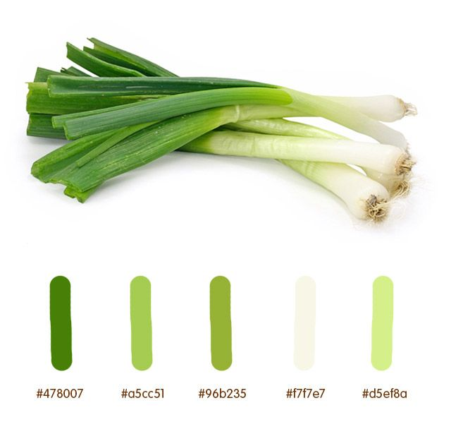 Лук порей и зеленый лук