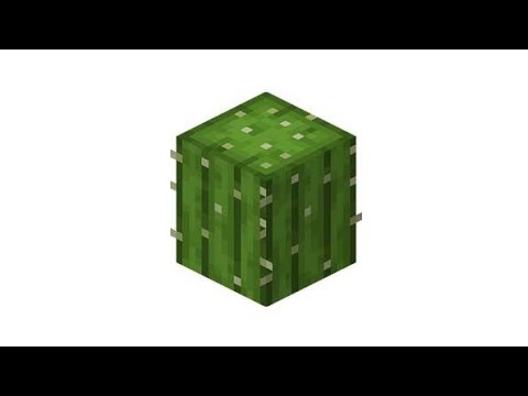 Кактус из МАЙНКРАФТА