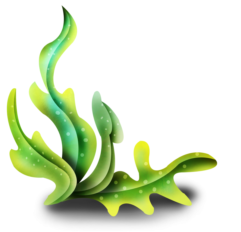 Морские водоросли на прозрачном фоне