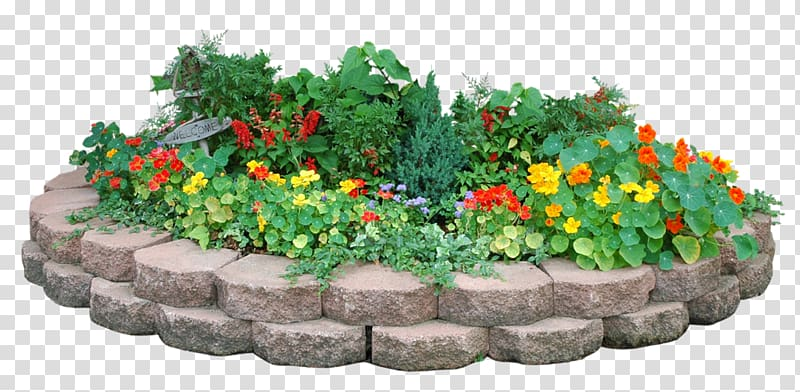 Клумба без фона