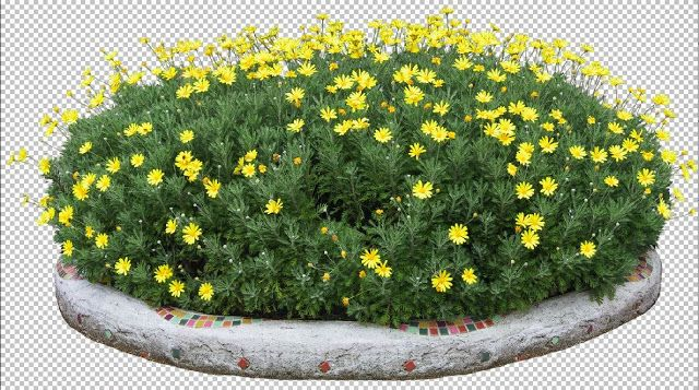 Клумба с желтыми цветами