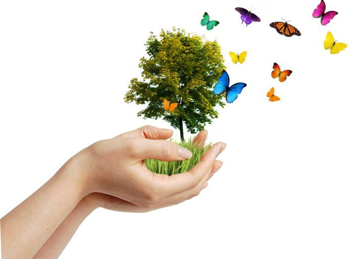 Природа в руках