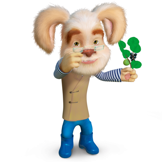 Барбоскины дед