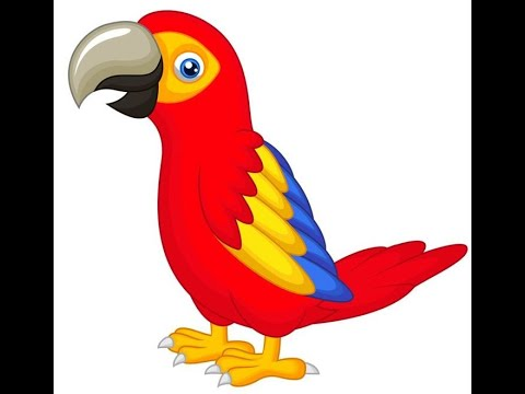 Попугай рисунок