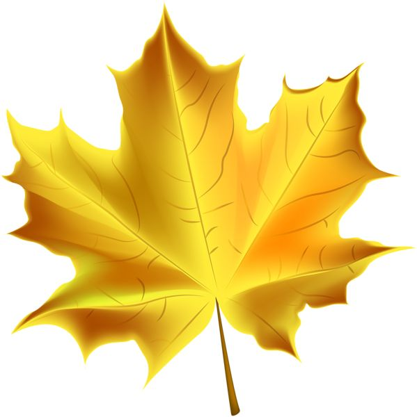 Желтый лист