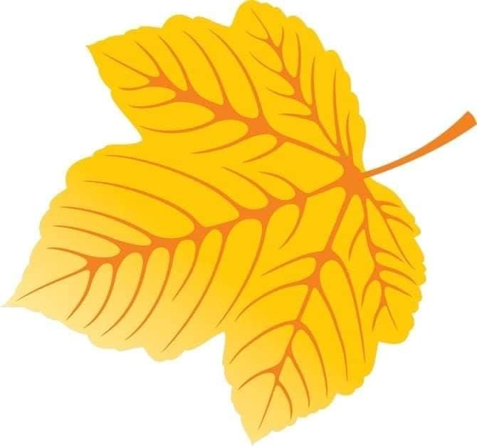 Осенний листок