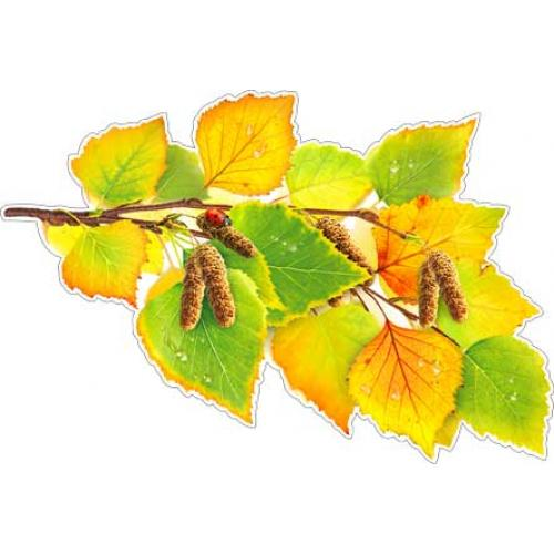 Осенняя веточка