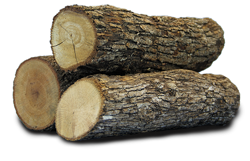 Дерево бревно