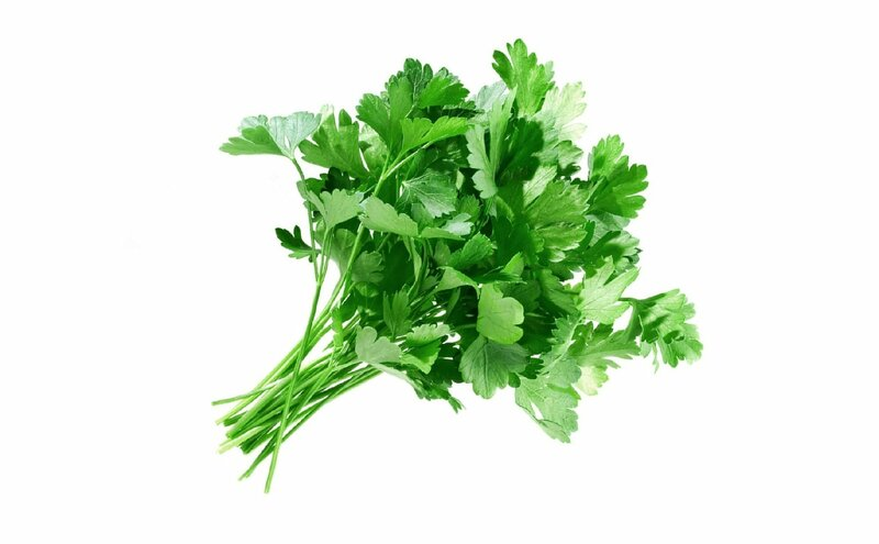 Зелень укроп петрушка кинза