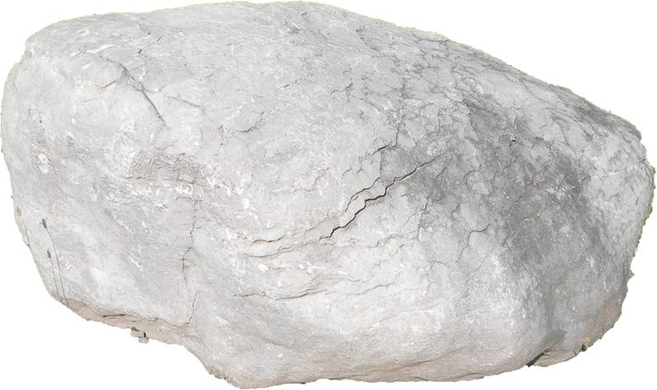 Кусок известняка