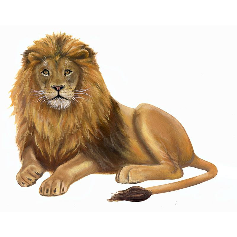 Лев иллюстрация