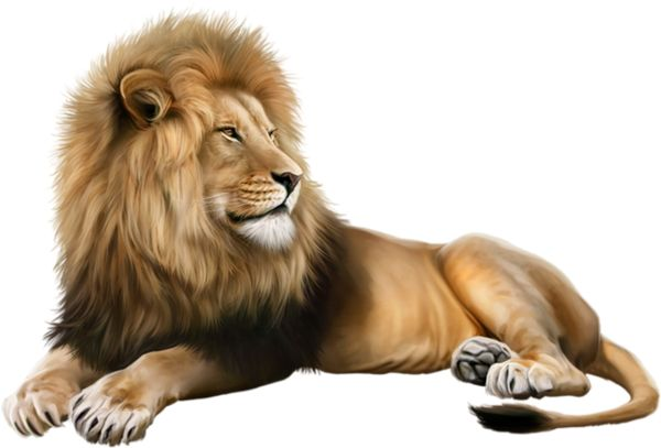 Лев иллюстрация