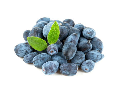 Жимолость ягода